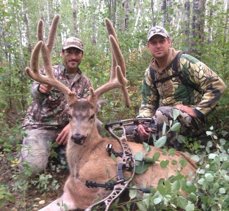 mule deer canadian